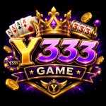 Y333 Game