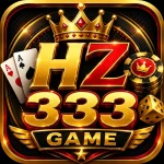 HZ333 Game